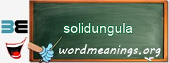 WordMeaning blackboard for solidungula